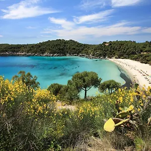 appartamento-marea-fetovaia.it-tuscanyhotel.com/